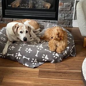 Meet your Posher, Patty lou